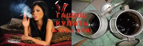индика Беломорск