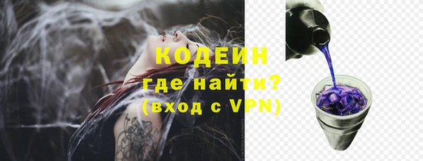 индика Беломорск