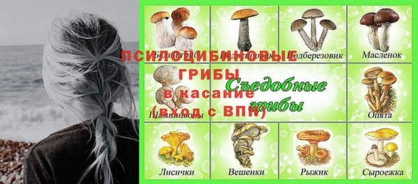 ешки Белокуриха