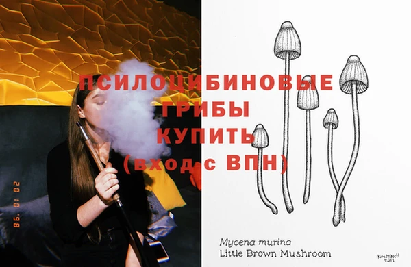 крисы Ладушкин