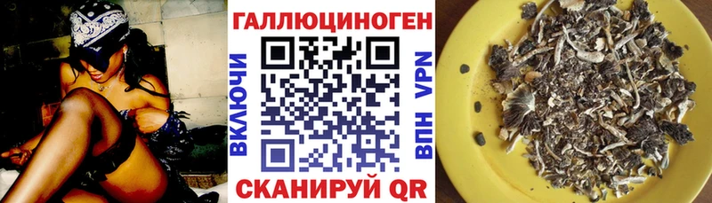 hydra как войти  Курлово  Галлюциногенные грибы Psilocybe 